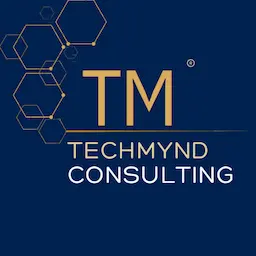 TechMynd Consulting