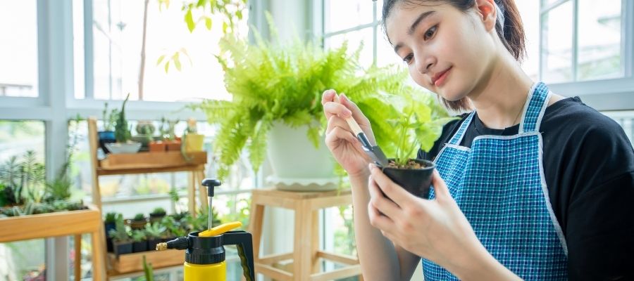 Shade loving Plant Varieties